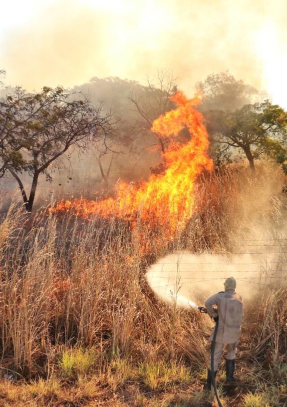 Bombeiros controlam incêndio em área verde na região sul de Palmas