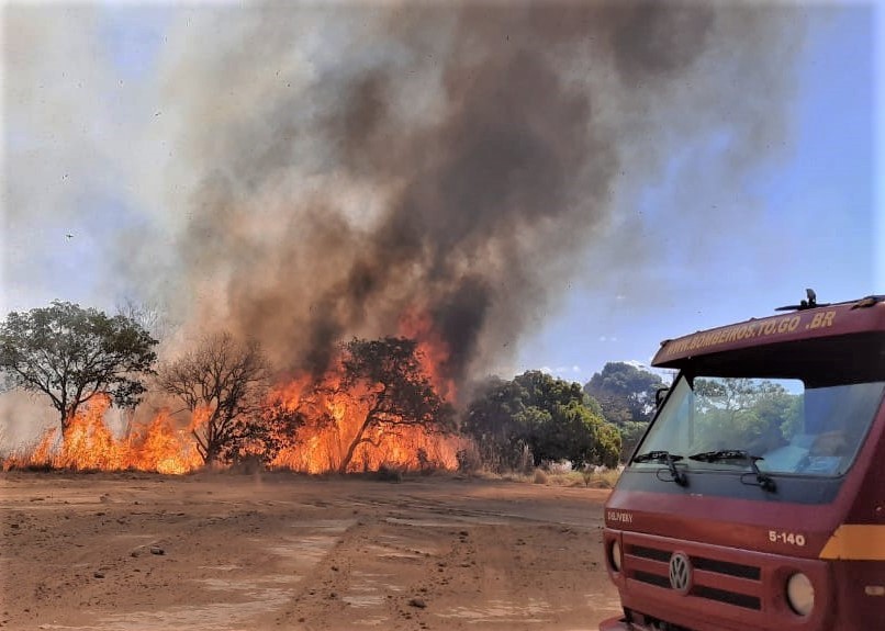 Incêndio florestal na região norte de Palmas destrói mais 900 mil metros de área verde