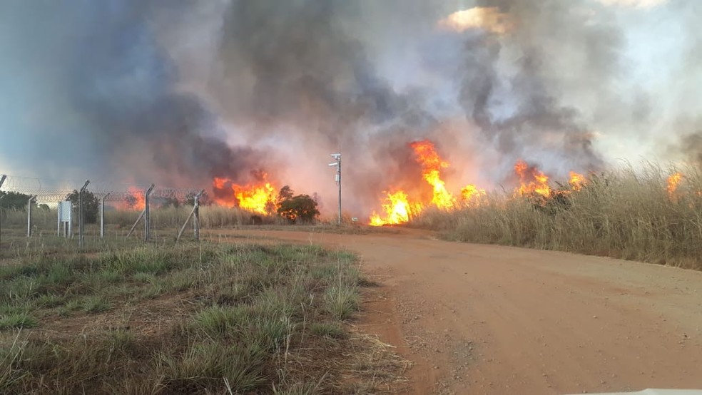 Incêndio atinge área verde próxima ao Aeroporto de Palmas; Bombeiros e helicóptero foram acionados