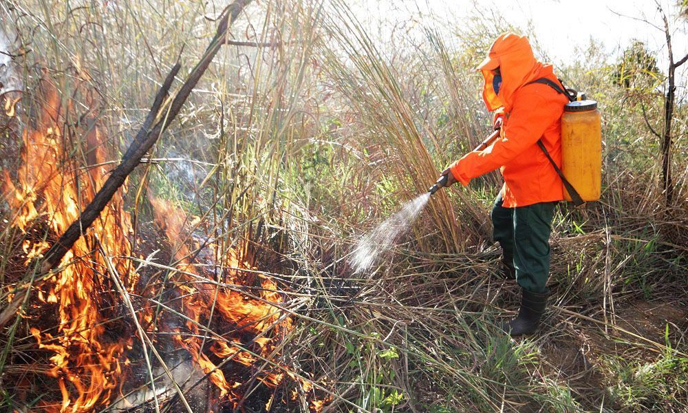 Exército irá iniciar combate a incêndios florestais no Tocantins após solicitação do Governo Estadual